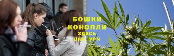 ПСИЛОЦИБИНОВЫЕ ГРИБЫ Верхнеуральск