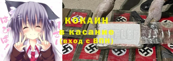 хмурый Мегион