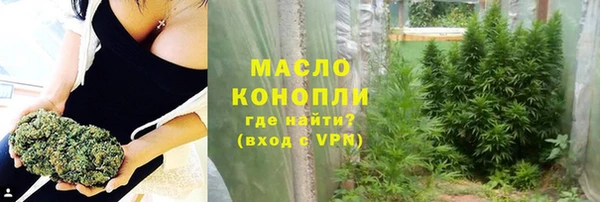 молекула духа Верхний Тагил
