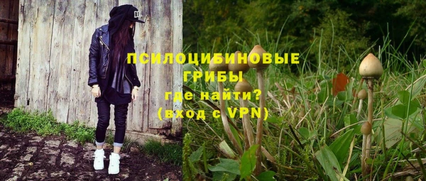 a pvp Верея