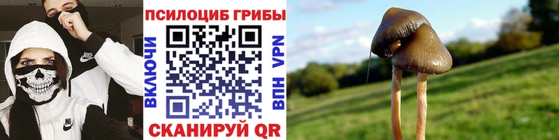 наркотики  Воткинск  MEGA как войти  Галлюциногенные грибы мухоморы 