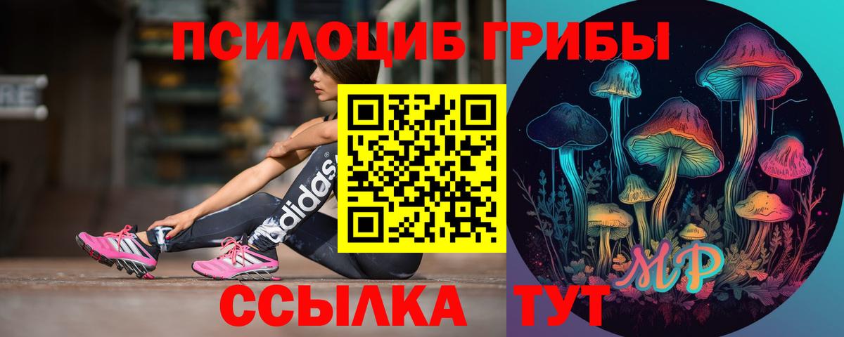 Галлюциногенные грибы мухоморы  Воткинск  Псилоцибиновые грибы мицелий 